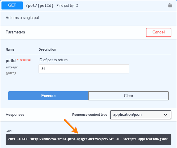 Testing the API proxy from SwaggerHub